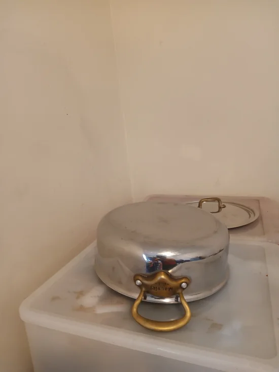 Stainless Steel Covered Rondeau Pan with Brass-Tone Handles - Silver