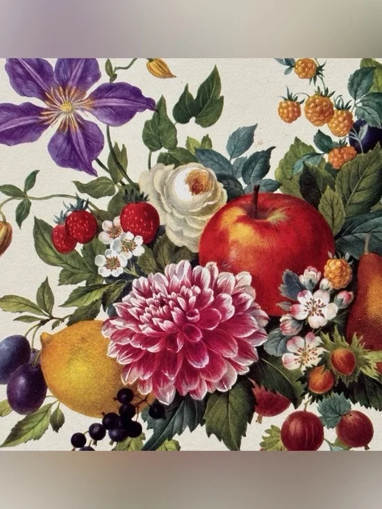 Pimpernel Vintage Botanical Meissen Floral Fruit Cork Backed Placemats Set of 4