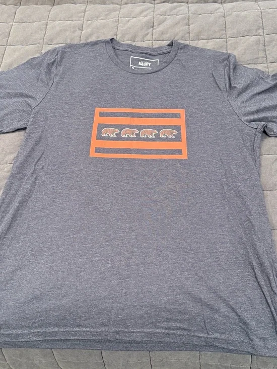All City Chicago Football Graphic Tee - Orange Bear Stripe (XL) NWT