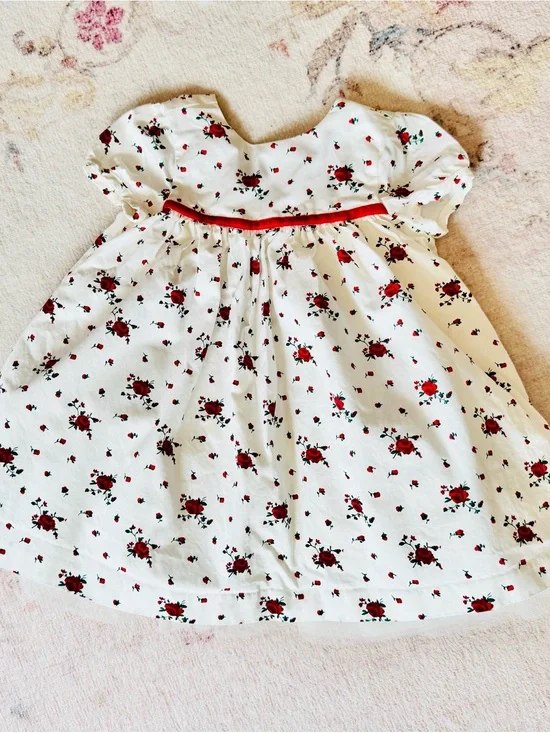 Janie and Jack White Dress with Red Rose Print and Red Velvet Waist Trim