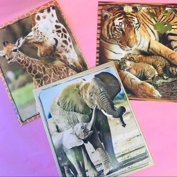 New Sea & Land folders