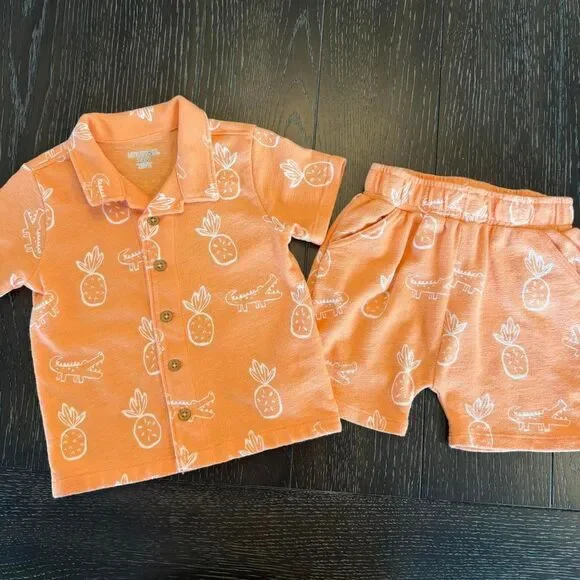 Toddler 24M Orange Terry Cloth Summer/Vacation Outfit Pineapples & Alligators‎