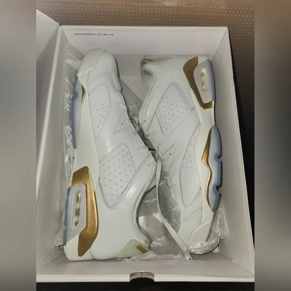 Air Jordan 6 Retro Low GC