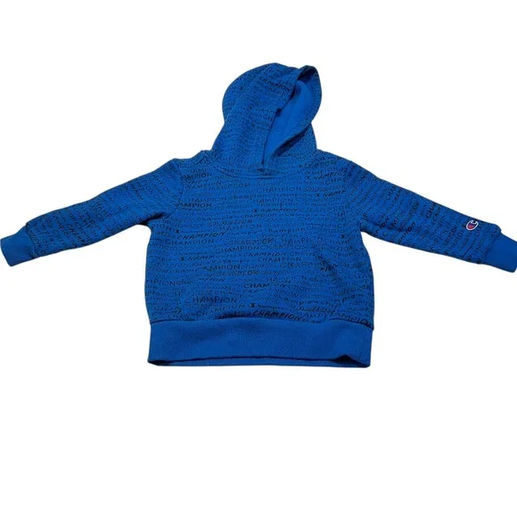 Champion Cerulean Blue Logo Hoodie - Kid's Size 2T Comfy‎ Cozy Warm