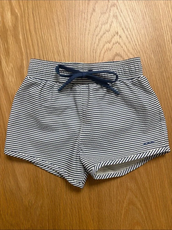 Minnow swim striped boardies