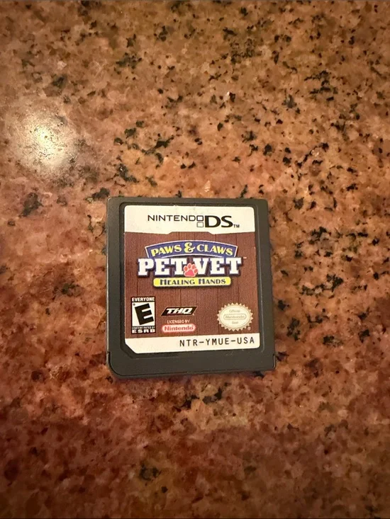 Nintendo DS game