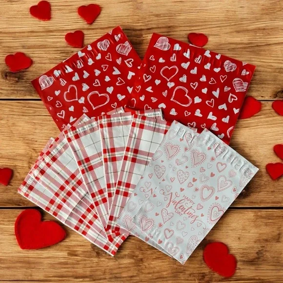(10) 6x9 & 10x3 Assorted Valentines Poly Mailers (Pack #4)