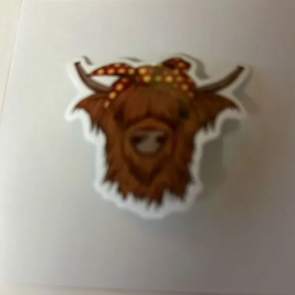 Scottish Highland Cow