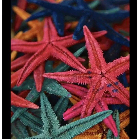100‎ Colorful Natural Starfish Mini Crafts Wedding Decorations Micro Landscape