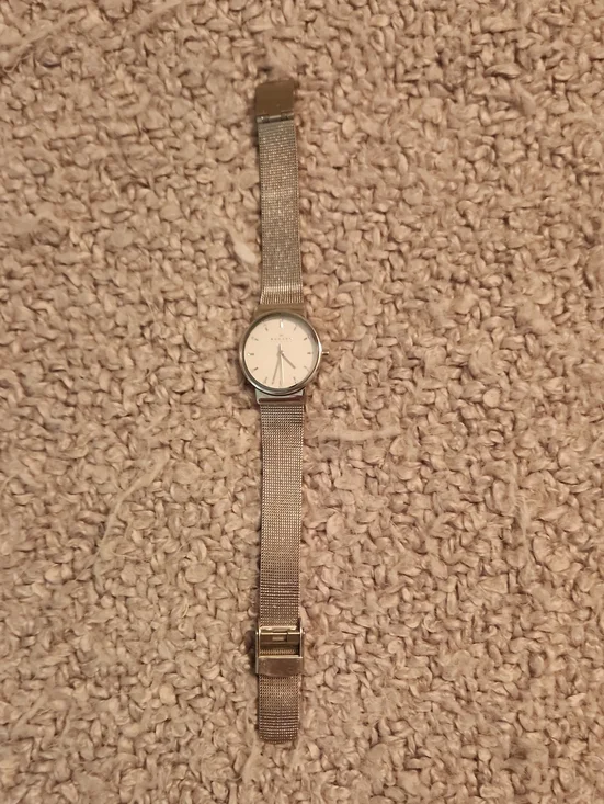 Skagen Silver Mesh Band Minimalist Wristwatch - Stainless Look