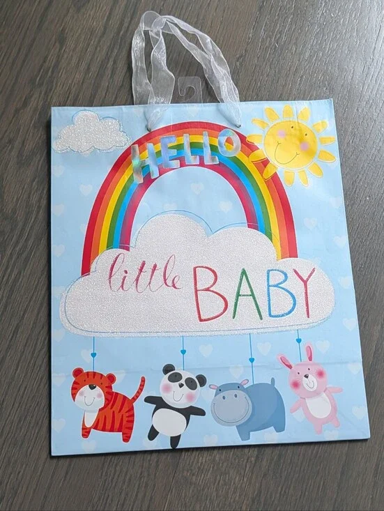 Voila Hello Little Baby Rainbow Paper Gift Bag Large 13x10x5