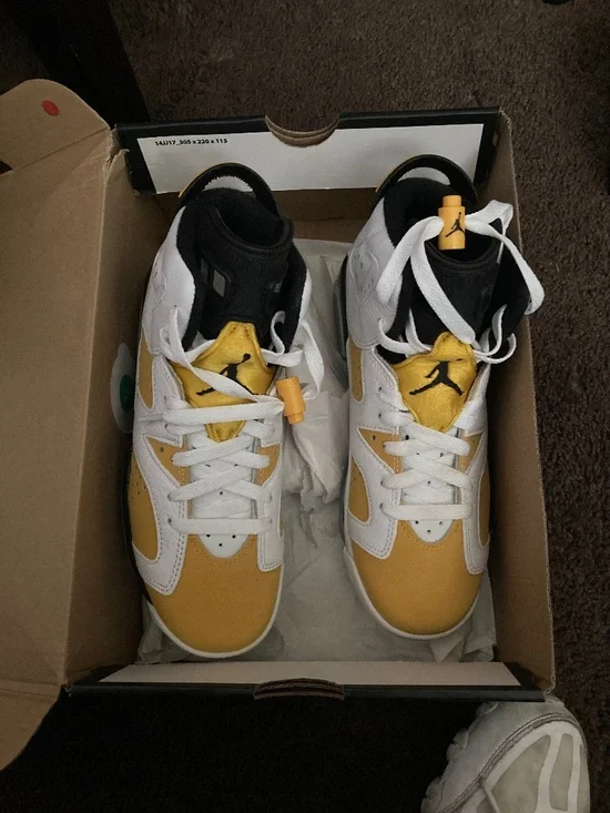 Jordan retro 6