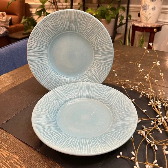 Pottery Barn Aqua Sausalito Textured Rim   2 Piece 10 inch salad appetizer Plate