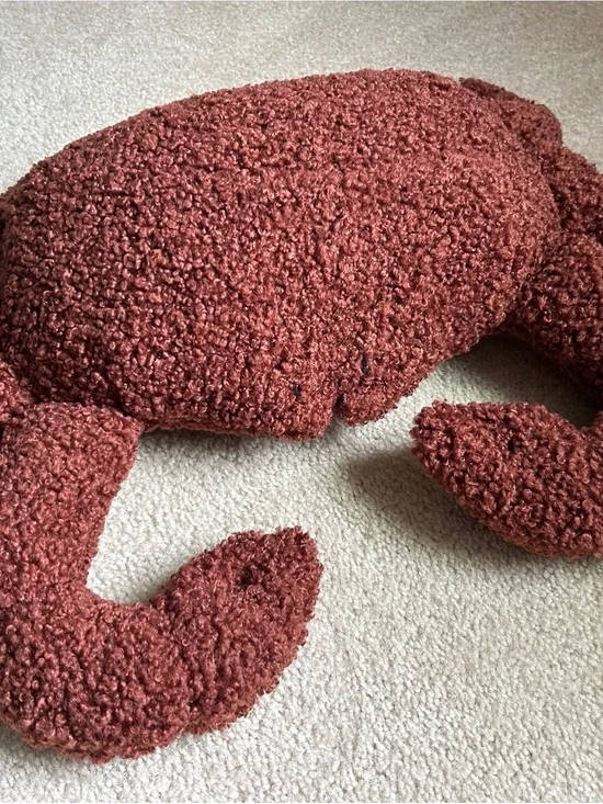 Pottery Barn Rust Red Curly Textured Accent Pillow