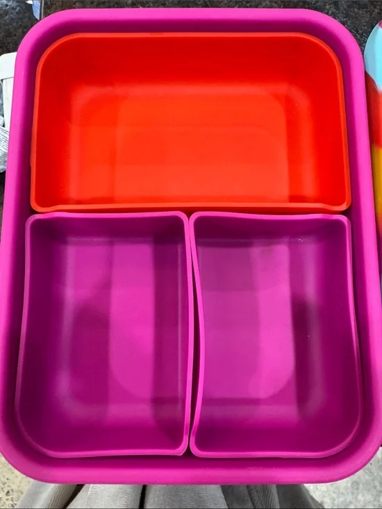 Lunch bots Bright Pink & Orange Silicone Compartment Tray - Home Storage