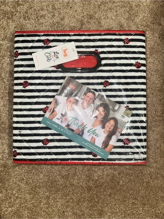 Lug Black & White Striped Cube Bins with Red Ladybug Accents