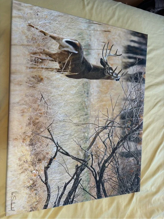 Wildlife Deer Canvas Wall Art - Brown Natural Tones