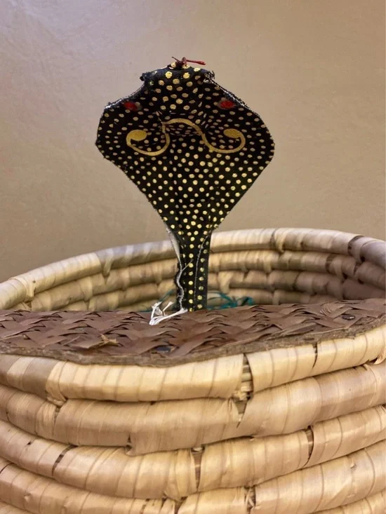 Basket with fake moving snake when Lid is remove.