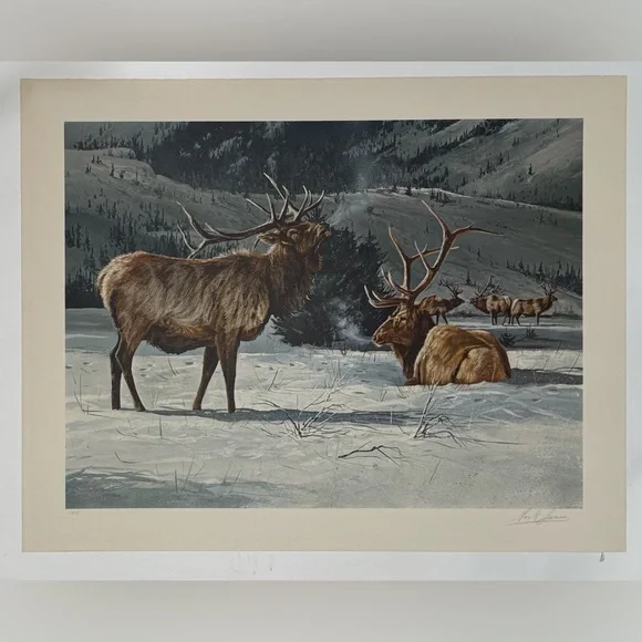 Bull Elk Litho 