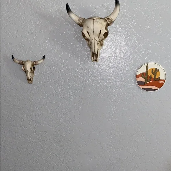 Rustic Bone White Bull Skull Wall Decor - Home Accent
