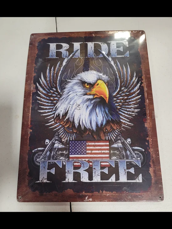Patriotic Eagle Ride Free Wall Decor - Brown/White/Yellow