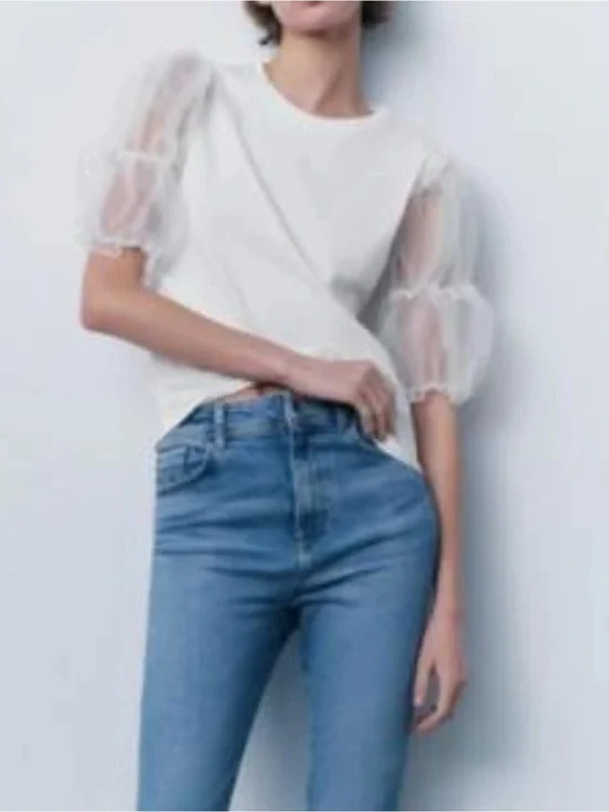 Zara Sheer Puff Sleeve Top