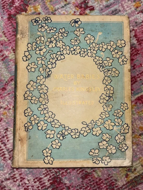 The Water Babies by Charles Kingsley