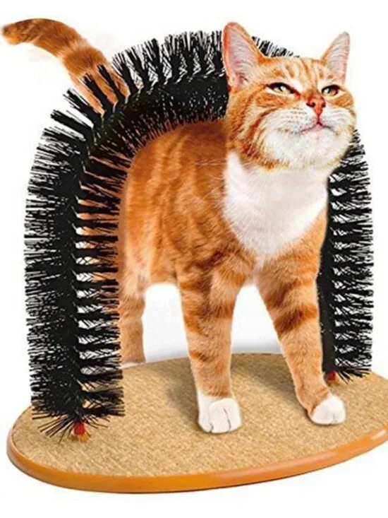 Cat Arch Self-Groomer Brush Scratcher Toy with Hanging Mouse Massage Comb