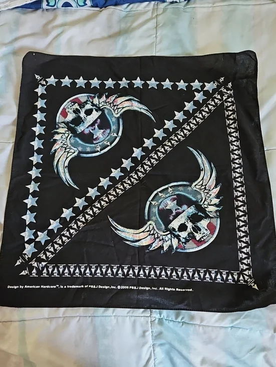 Vintage 2006 American Hardcore Skull  Bandana Or Face Cover