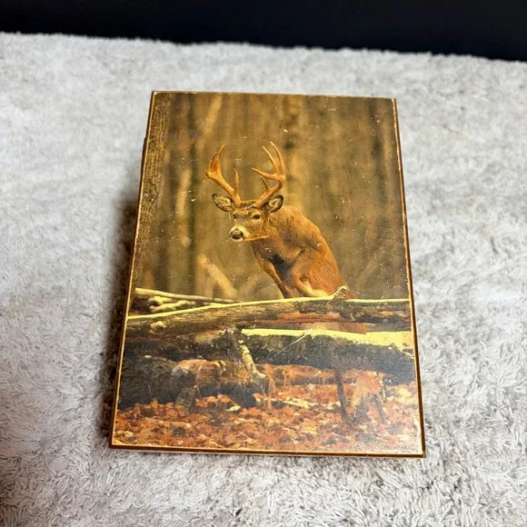 Vintage Minnesota Cedar Wood Trinket Box Deer Buck Wildlife Souvenir‎ Rustic