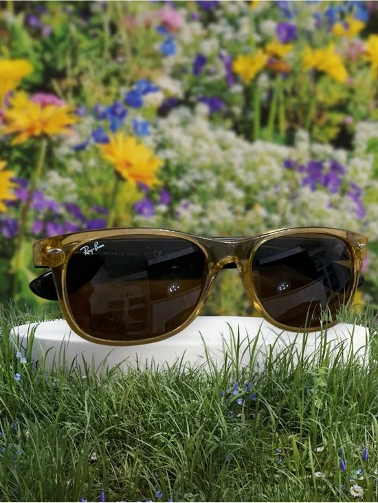 Ray-Ban Brown Wayfarer Bicolor Translucent Frame Sunglasses