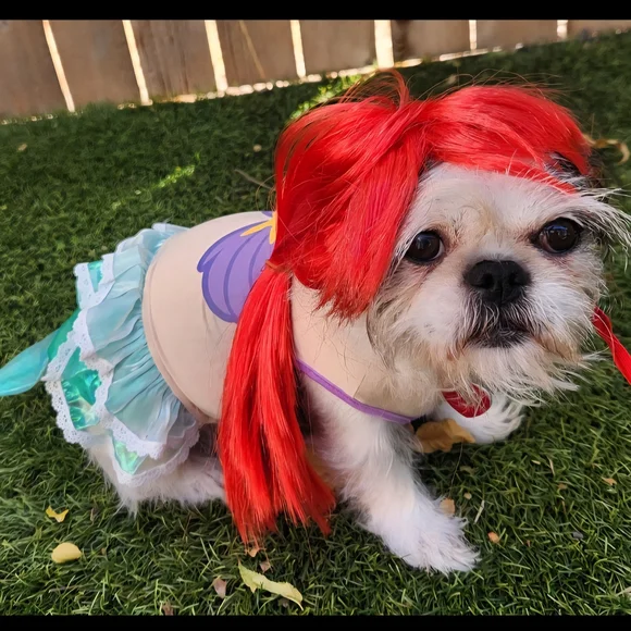 Disney Little Mermaid Dog Costume
