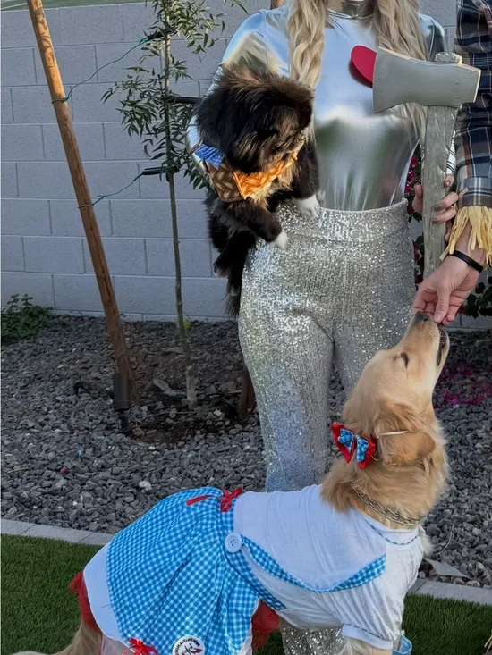 Dorothy wizard of Oz Dog Dress Costume XL