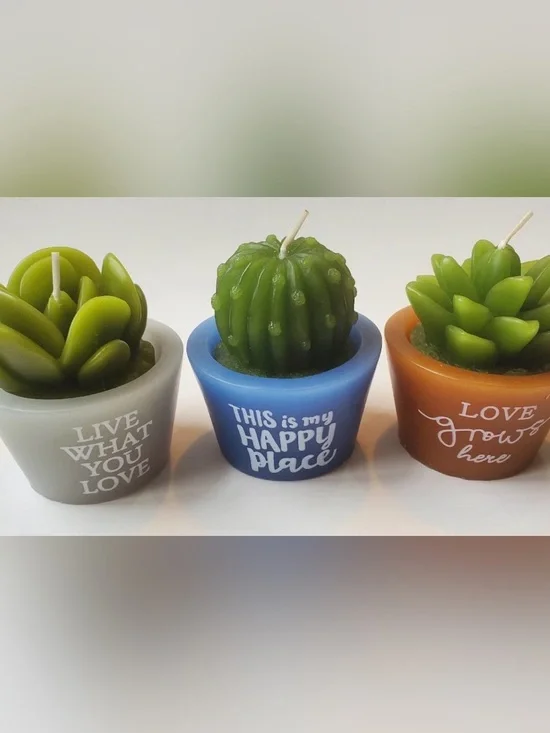 Succulent Cactus Shaped Candles, set of 3