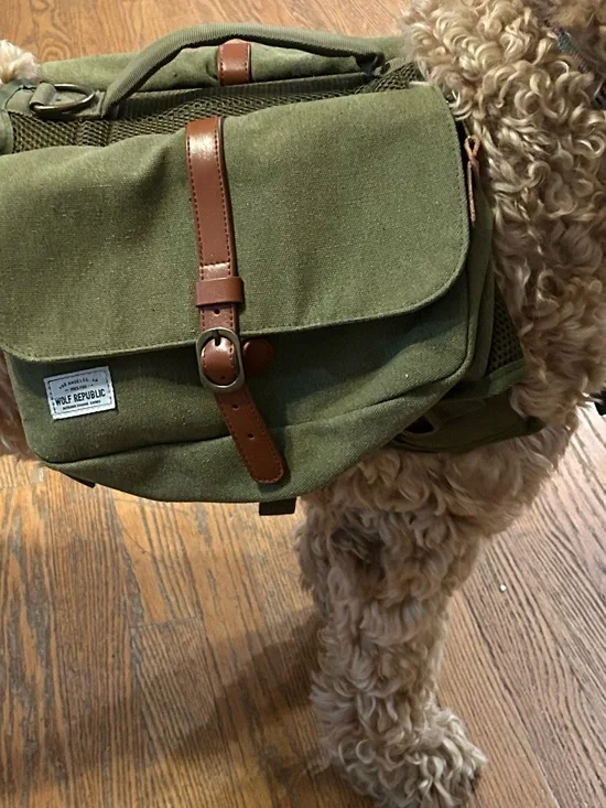 Wolf Republic 2025 Fox Dog Saddleback Harness green Canvas & Leather Straps.