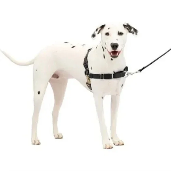 Easy Walk No-Pull Dog Harness & Retractable Lead Set - Large