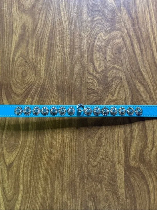 Teal Dog Collar - Size Medium