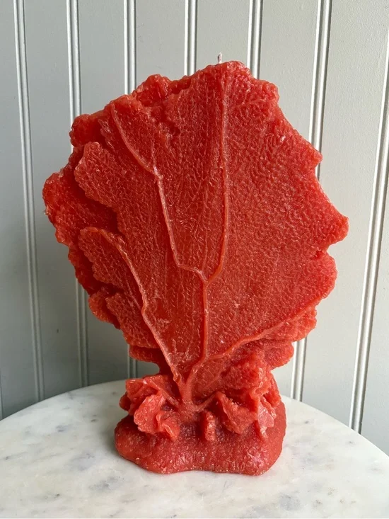 Point à la Ligne Large Sea Fan Coral Candle NEVER USED! Designer Home Decor Boho