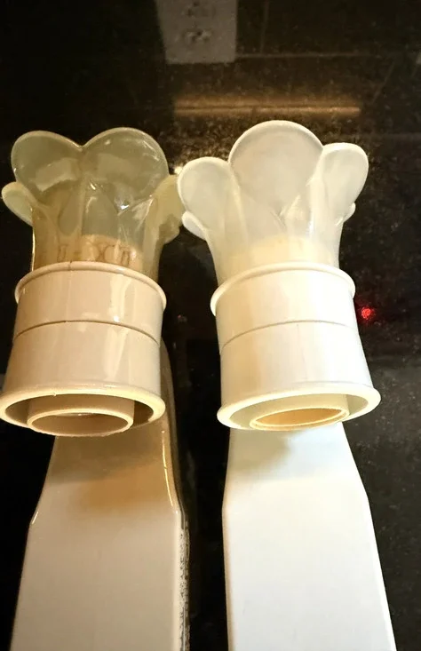Bath & Body Works Wallflower Plugin Home Fragrance Diffuser Set Of 2 NO Lights