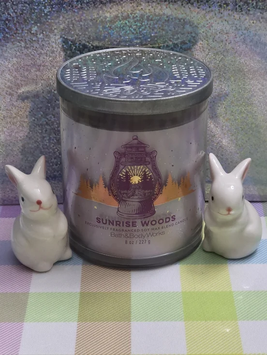 Bath & Body Works Sunrise Woods Scented Single Wick Candle 8oz NEW RARE
