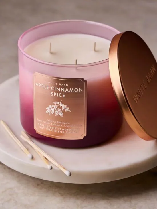 Bath & Body Works - Apple Cinnamon Spice