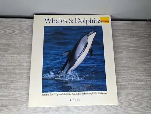 Whales & Dolphins Hardcover Book