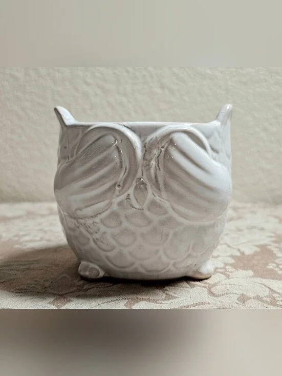 Mini White Ceramic Owl Planter Pot Succulent Pot 