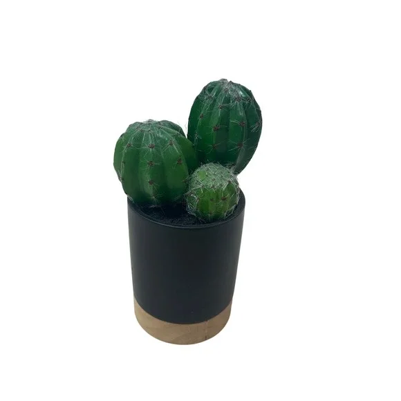 Project 62 Faux Cactus Tabletop Arrangement Black‎ Pot Wood Base 8.5 Inch Green
