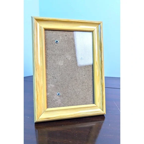 Vintage Faux Tortoise Shell Lucite Acrylic Picture Frame 5x7 Amber Brown Marbled
