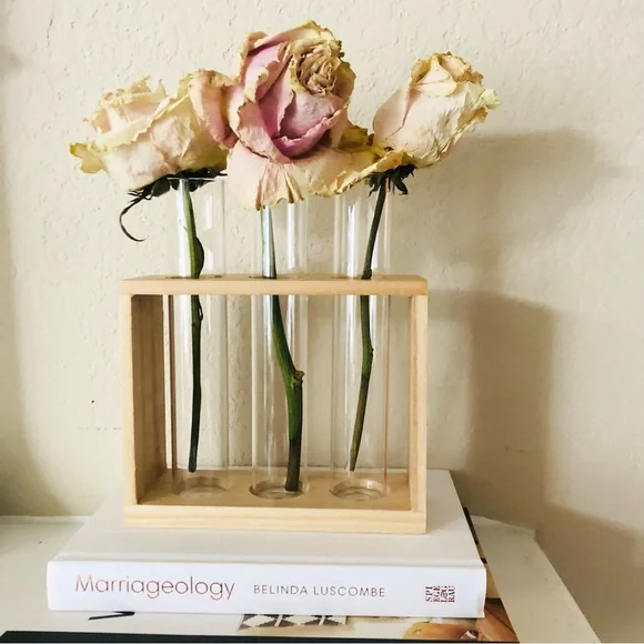 3 Vial Glass & Wood Plant Propagation Stand