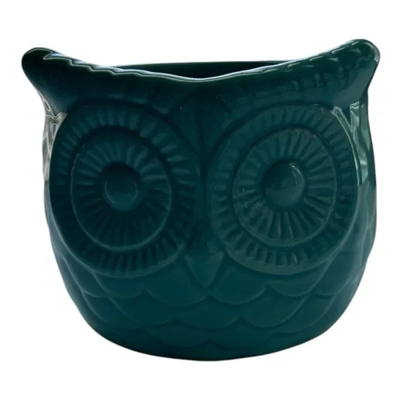 Ceramic  Owl Teal Turquoise Glazed  Cachepot Succulent Flower Pot Home Decor 4