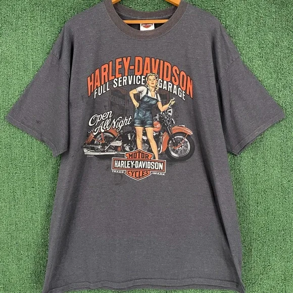 Harley-Davidson Gray Graphic T-Shirt