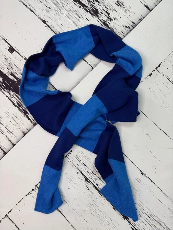 Vintage GAP Retro Prep Blue Colorblock Cozycore Scarf