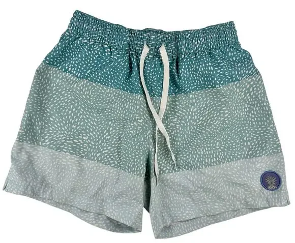 Chubbies The Whale Trunks 5.5